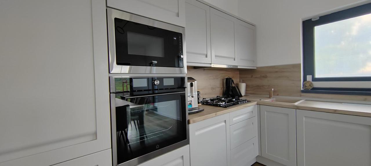 Casira Guesthouse Sînmartin 外观 照片